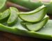 Fresh,Aloe,Vera,Pieces,On,Table,,Closeup