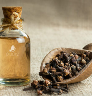 Close up glass bottle of clove oil and cloves in wooden shovel on burlap sack. Essential oil of clove rustic style background spice concept